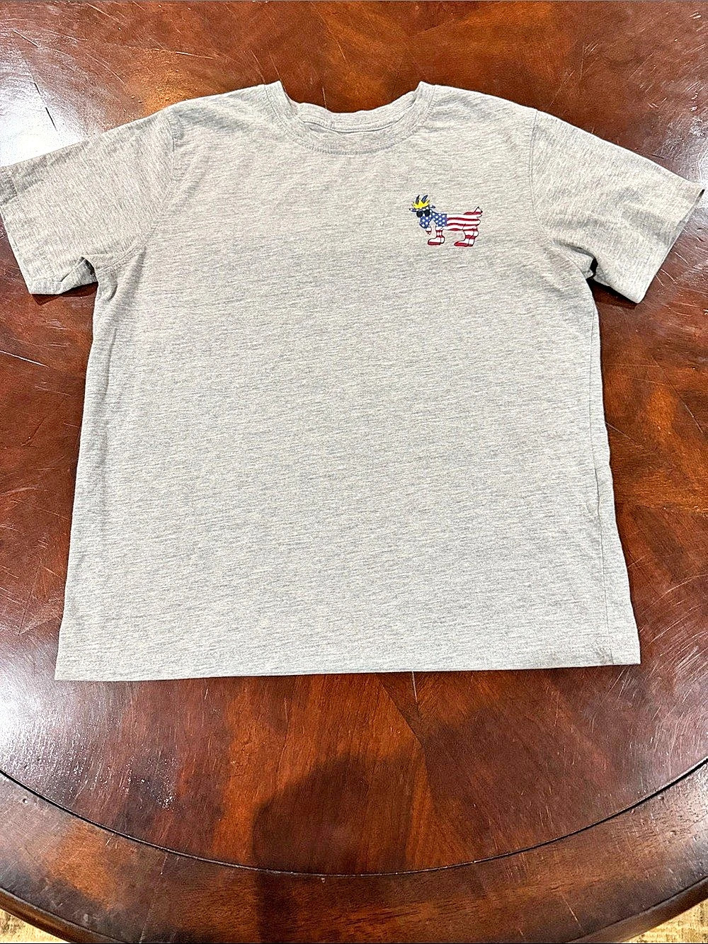 GOAT Short Sleeve Tee in Gray Like New